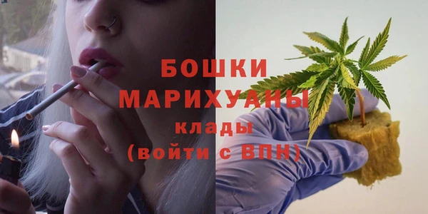 винт Мегион
