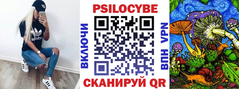 Галлюциногенные грибы GOLDEN TEACHER  ОМГ ОМГ онион  Новочеркасск 