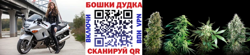 купить наркотик  Новочеркасск  Каннабис Bruce Banner 